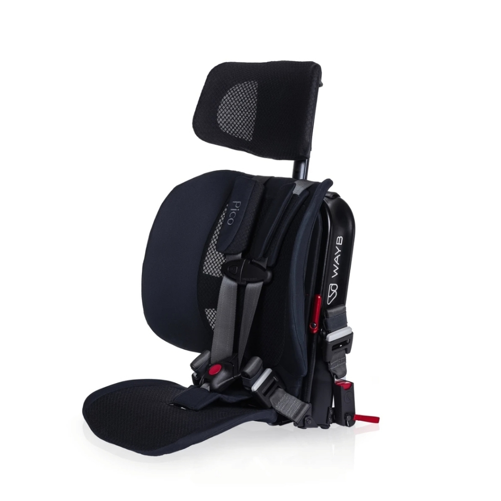 WAYB Pico Travel Car Seat
